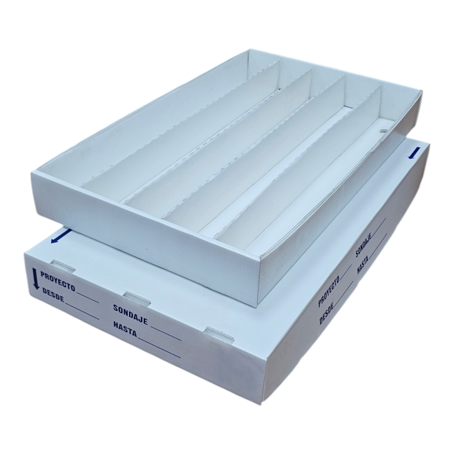 Photoroom 20250304 151214 1