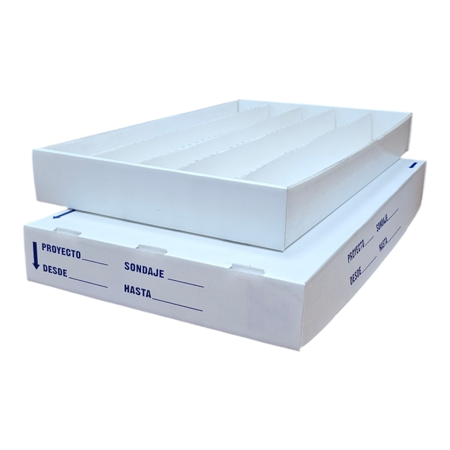 Photoroom 20250304 151214 2