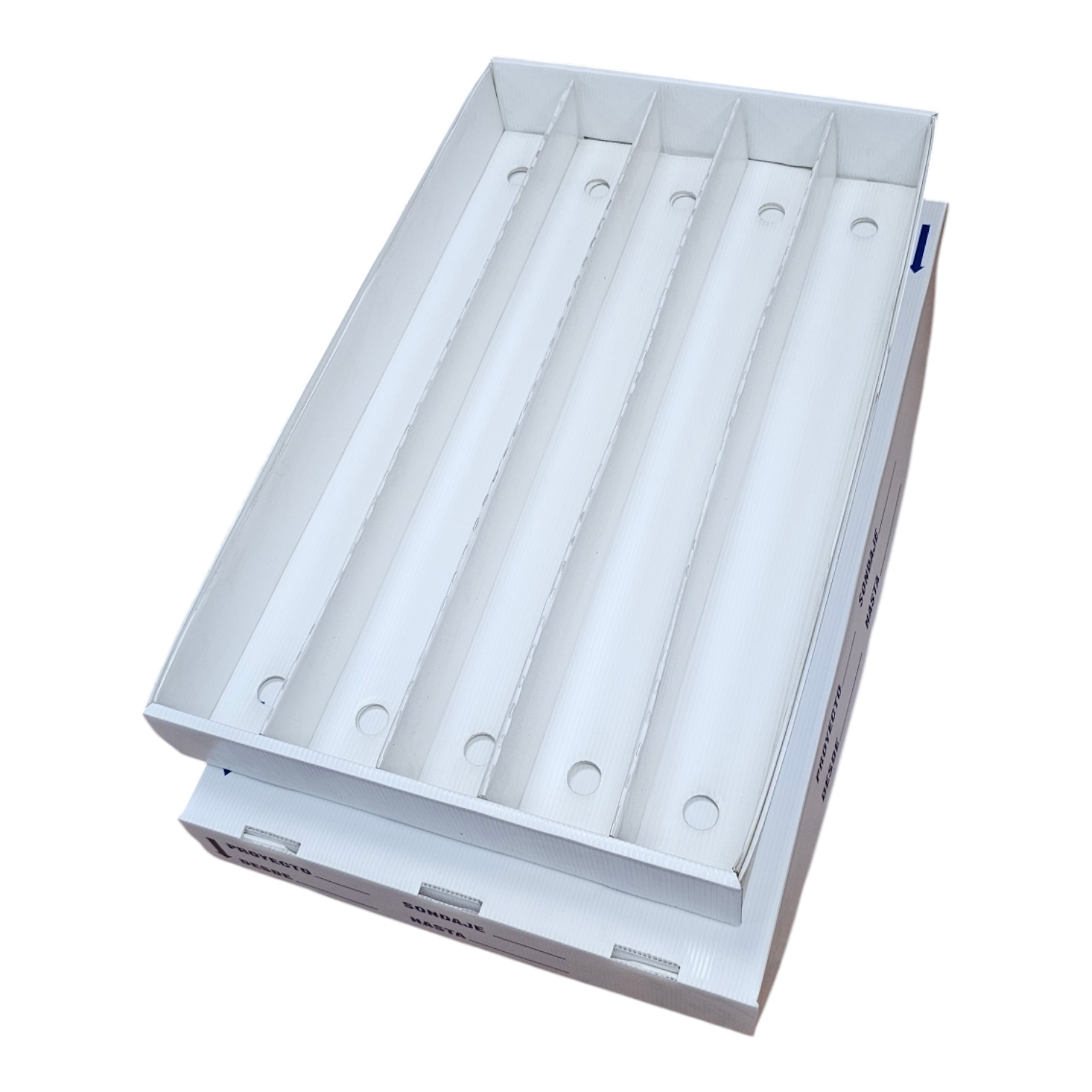 Photoroom 20250304 151214 3