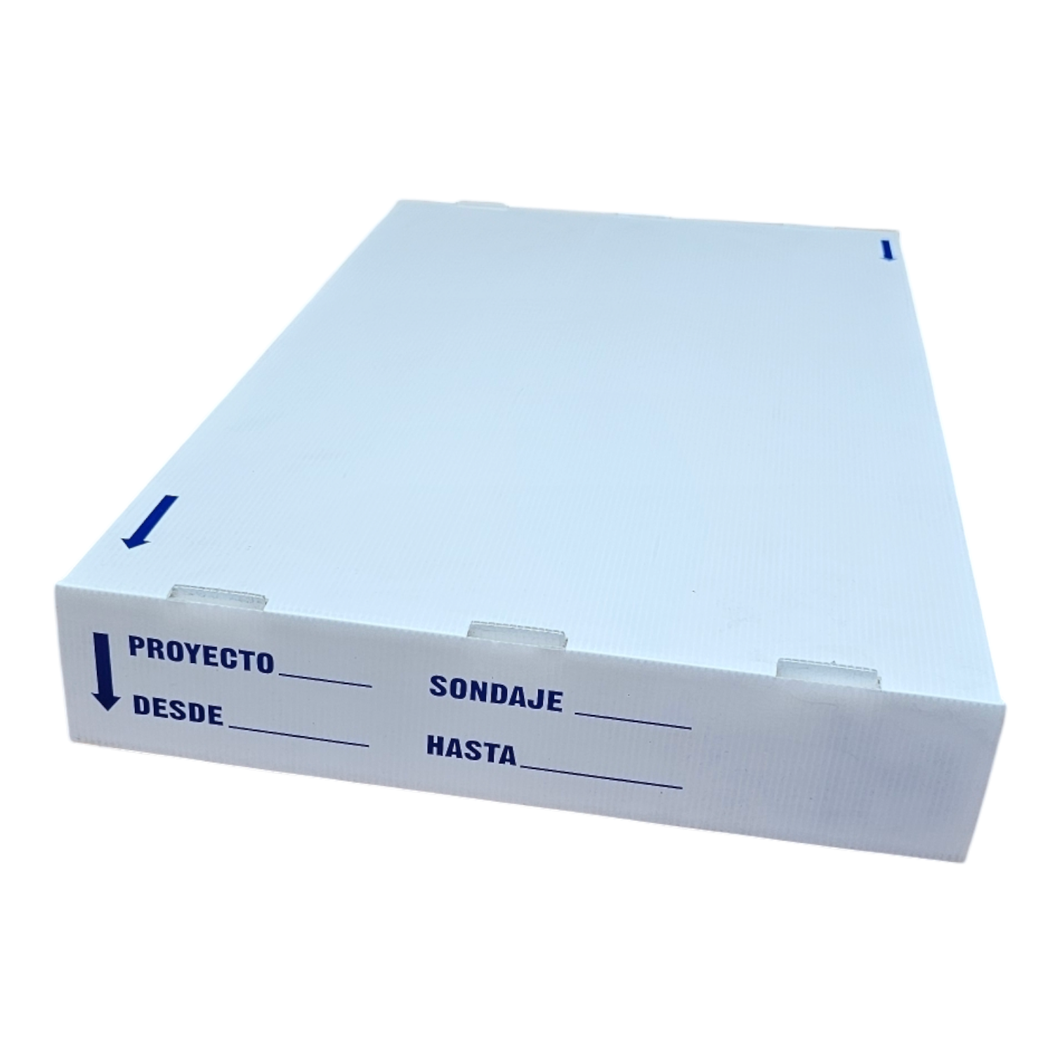 Photoroom 20250304 151214 5