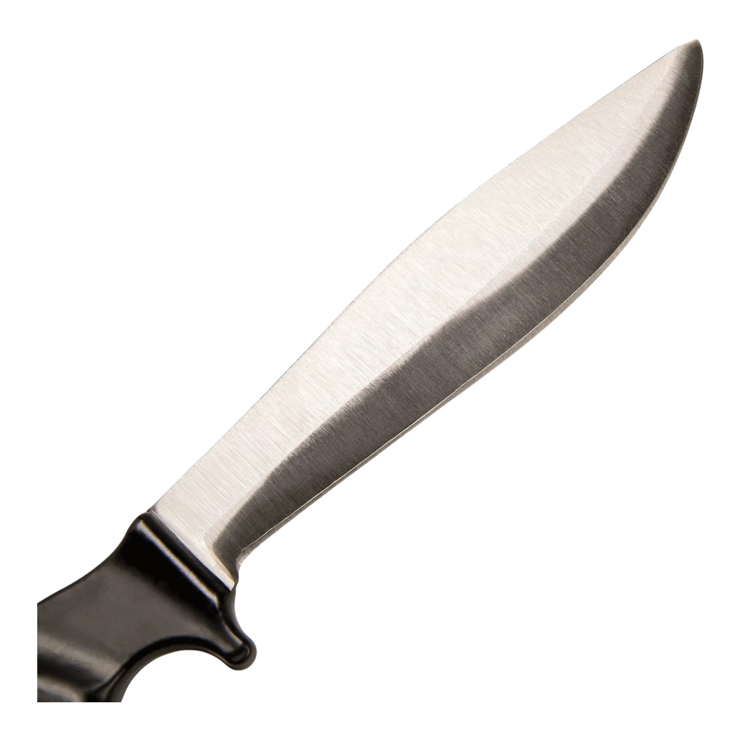 ebk-6 03-Photoroom Ebk 6 03 photoroom