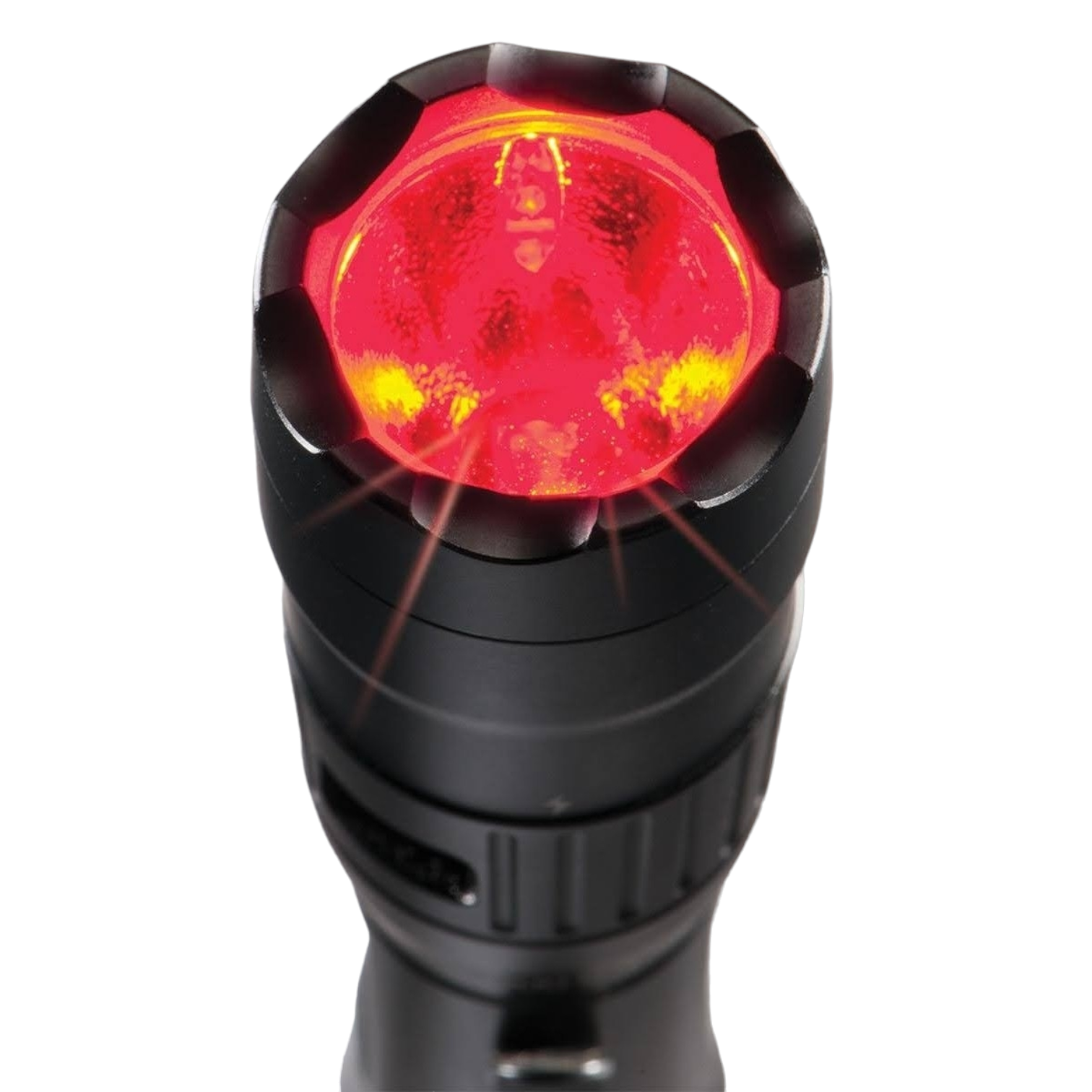 PhotoRoom-20231221_091908_1 Photoroom 20231221 091908 1