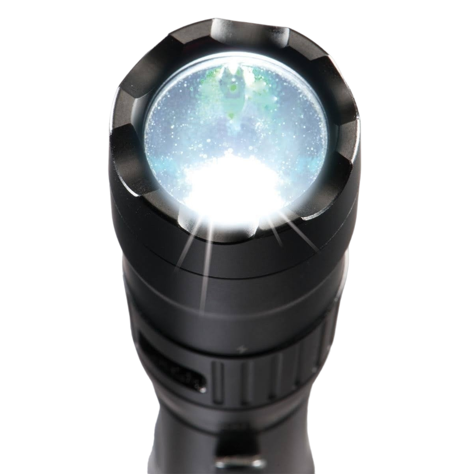 PhotoRoom-20231221_091908_4 Photoroom 20231221 091908 4